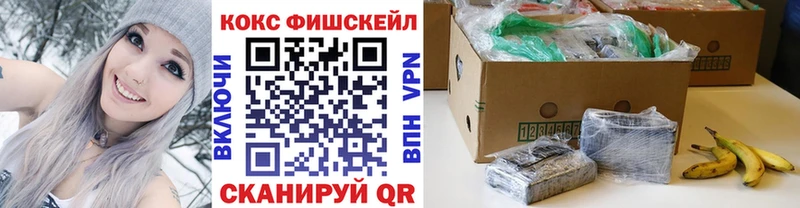Купить закладки  Красный Сулин  COCAIN FishScale 