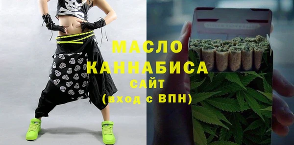 индика Зеленокумск