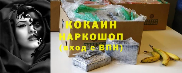 индика Зеленокумск