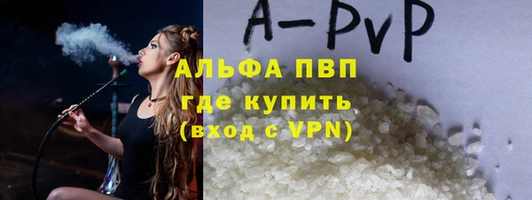 индика Зеленокумск
