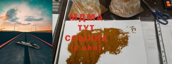 индика Зеленокумск