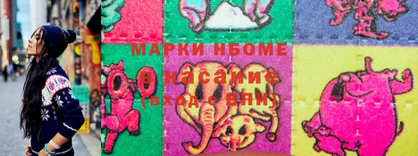 индика Зеленокумск
