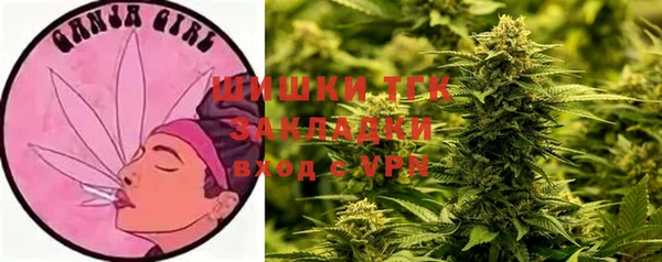 индика Зеленокумск