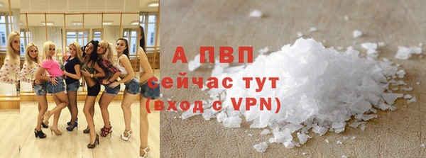 индика Зеленокумск