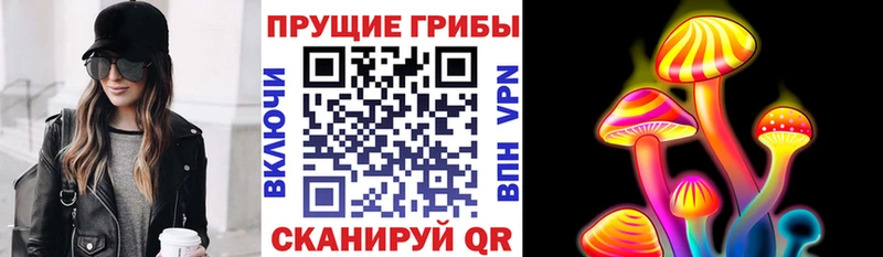 Купить где  Красный Сулин  Псилоцибиновые грибы мицелий 